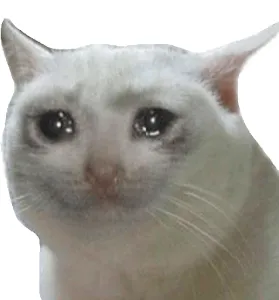 sad cat